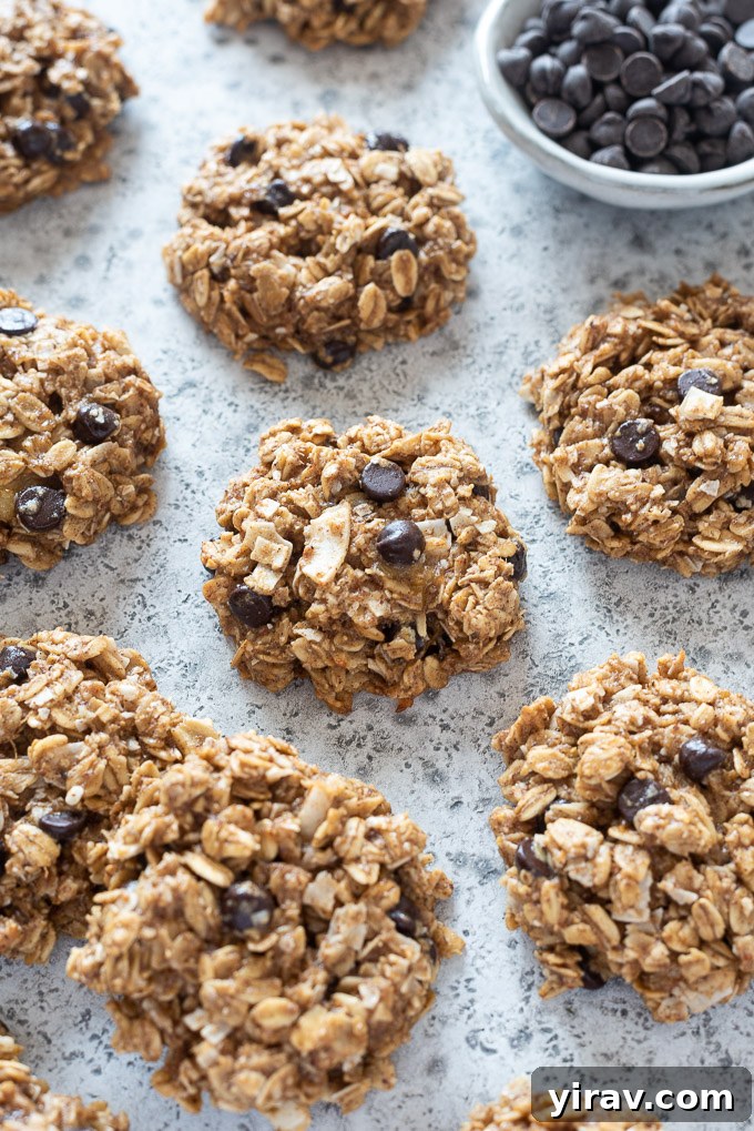 A close-up of healthy banana breakfast cookies, beautifully arranged next to a small bowl of dark chocolate chips, highlighting their appealing texture.