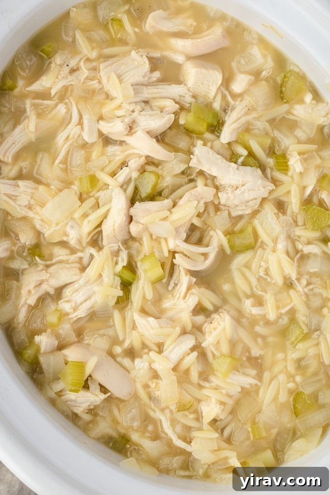 Close-up of a creamy avgolemono soup with shredded chicken and orzo in a slow cooker, ready to be served.