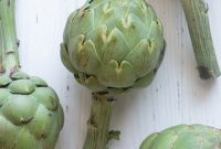 Artichoke Prep Demystified