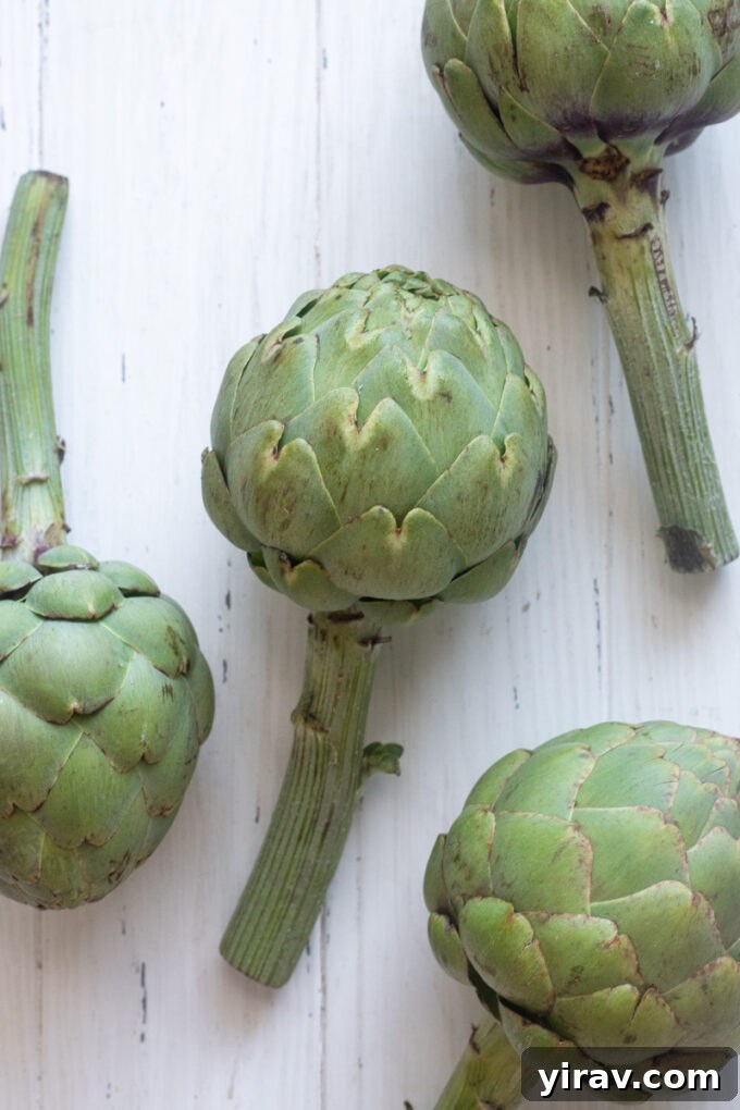 Fresh globe artichokes before prepping, highlighting their natural, unopened state.