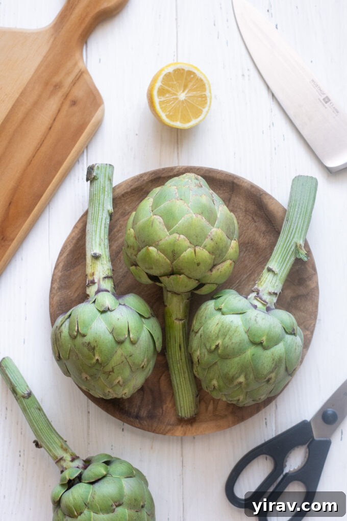 Collection of tools needed to prepare artichokes, including a knife, shears, lemon, and spoon.
