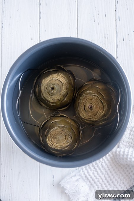 Steamed artichokes in Instant Pot.