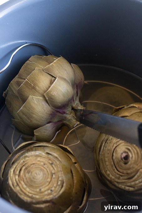 Knife inserted into bottom of artichoke to check for doneness.