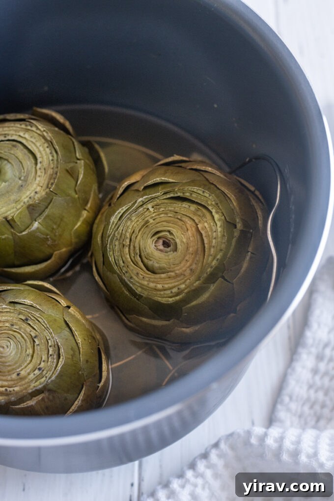 Whole steamed artichokes cooked in the Instant Pot.
