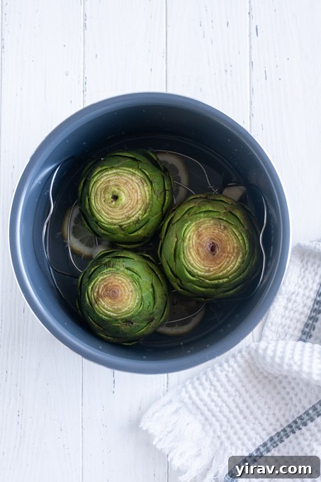 Fresh artichokes on trivet in Instant Pot before cooking.