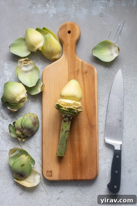 Artichoke with tough outer leaves removed for Roman artichokes.