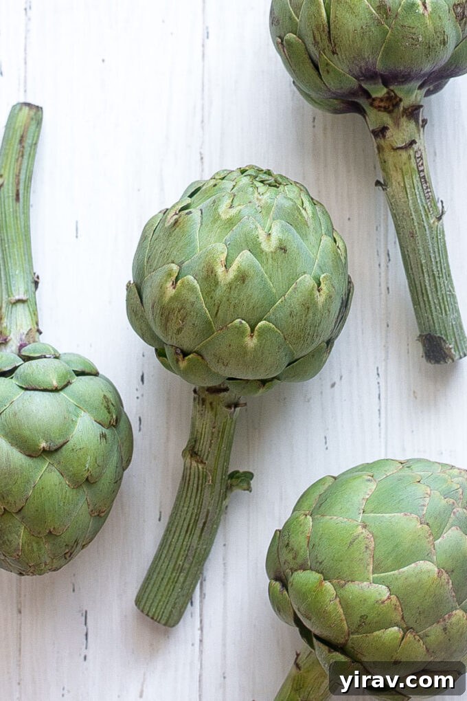 Overhead shot of Whole fresh artichokes with stems, showing size and shape.