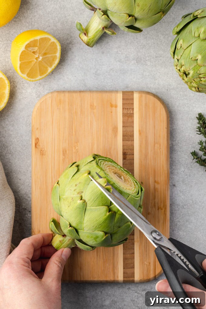 Kitchen shears trimming sharp tips from artichoke leaves.