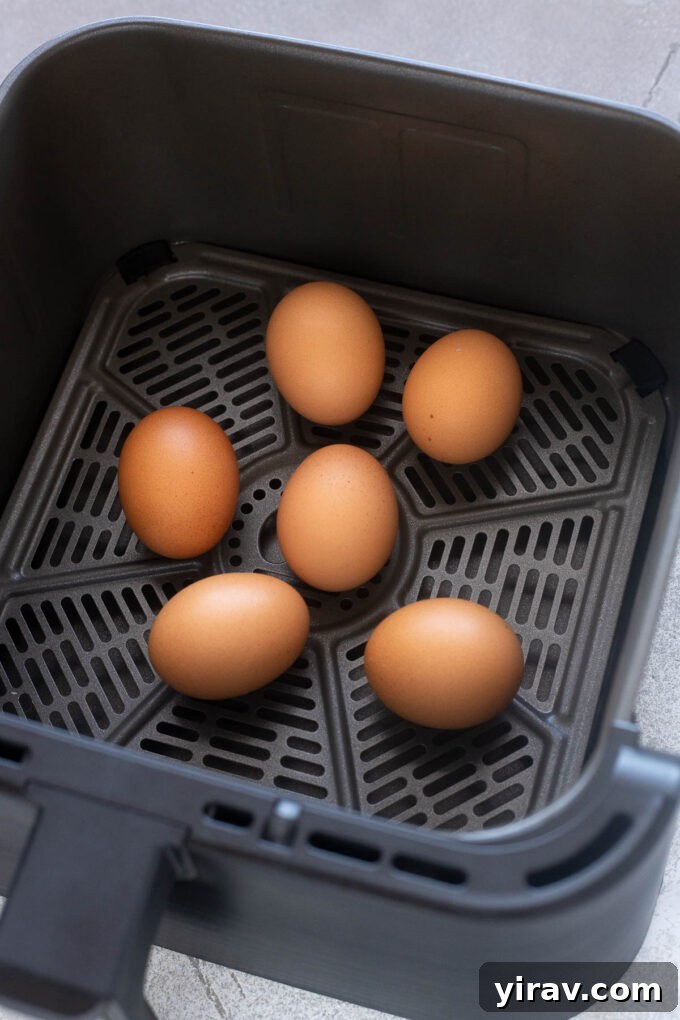 Hard boiled eggs neatly arranged in an air fryer basket after cooking, showcasing their perfectly cooked state.
