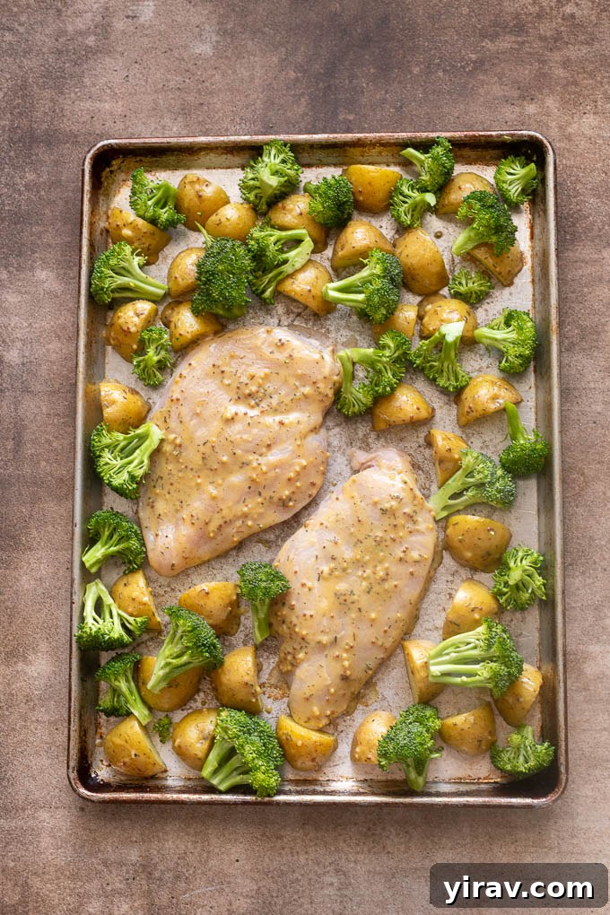 Broccoli florets on top of honey mustard chicken and potatoes.