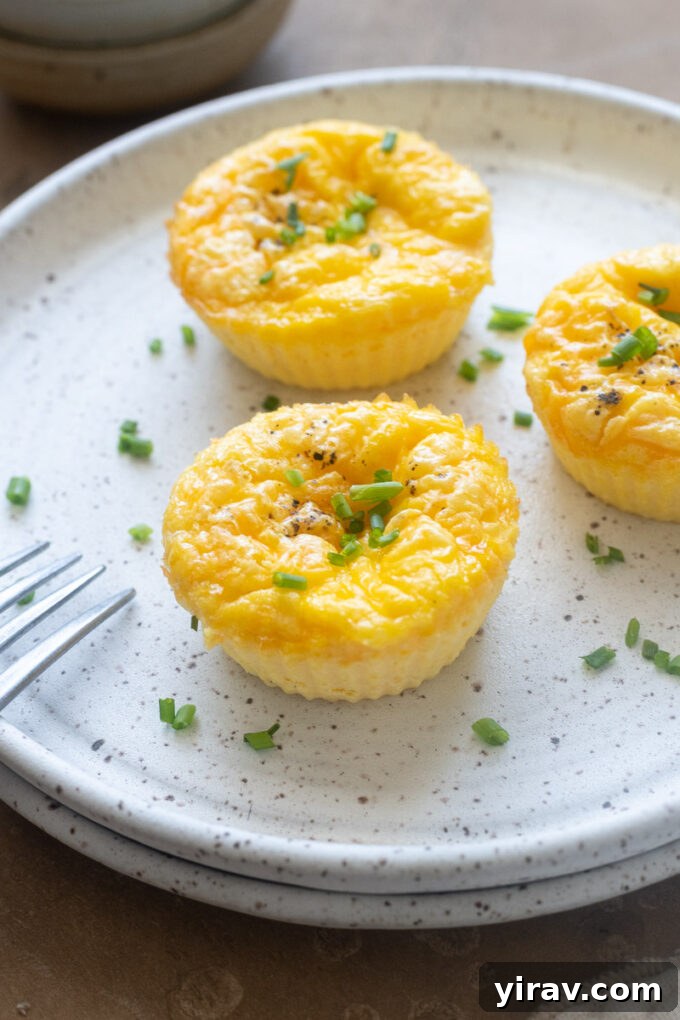 High protein cottage cheese egg bites on a plate with chives.