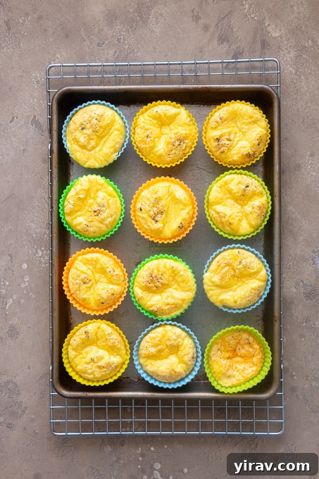 Baked cottage cheese egg bites in silicone muffin molds.