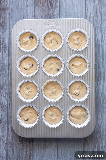 Blueberry Muffins Made with Oat Flour — Moist & Gluten-Friendly 6 Blueberry muffins with oat flour batter in muffin pan before baking.
