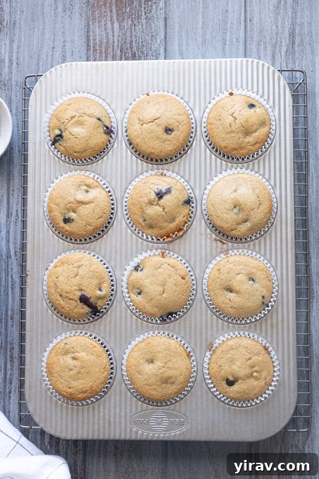 Blueberry Muffins Made with Oat Flour — Moist & Gluten-Friendly 7 Blueberry muffins with oat flour baked in muffin pan.
