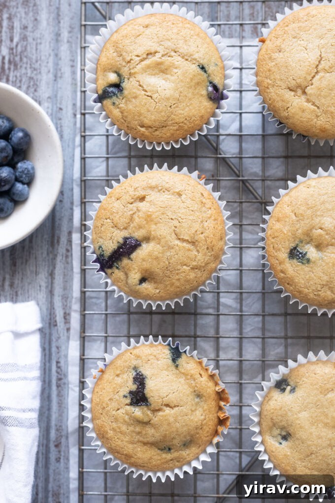 Blueberry Muffins Made with Oat Flour — Moist & Gluten-Friendly 8 Oat flour muffins with blueberries on a wire rack.