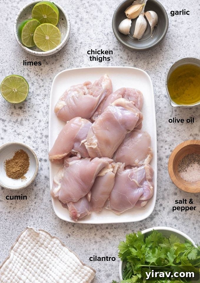 Cilantro-Lime Grilled Chicken with Zesty Marinade 4 Ingredients for cilantro lime chicken recipe.