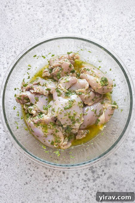 Cilantro-Lime Grilled Chicken with Zesty Marinade 6 Chicken thighs in cilantro lime marinade.