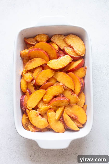 Fresh Peach Cobbler Recipe with Golden Biscuit Topping 7 Fresh peach cobbler filling in baking dish.