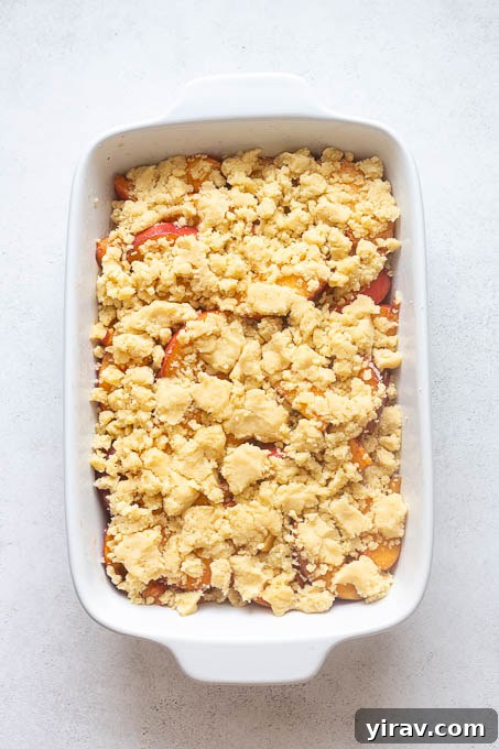 Fresh Peach Cobbler Recipe with Golden Biscuit Topping 8 Fresh peach cobbler topped with large pieces of shortbread cookie dough before baking.